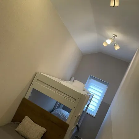Sirály 2 *